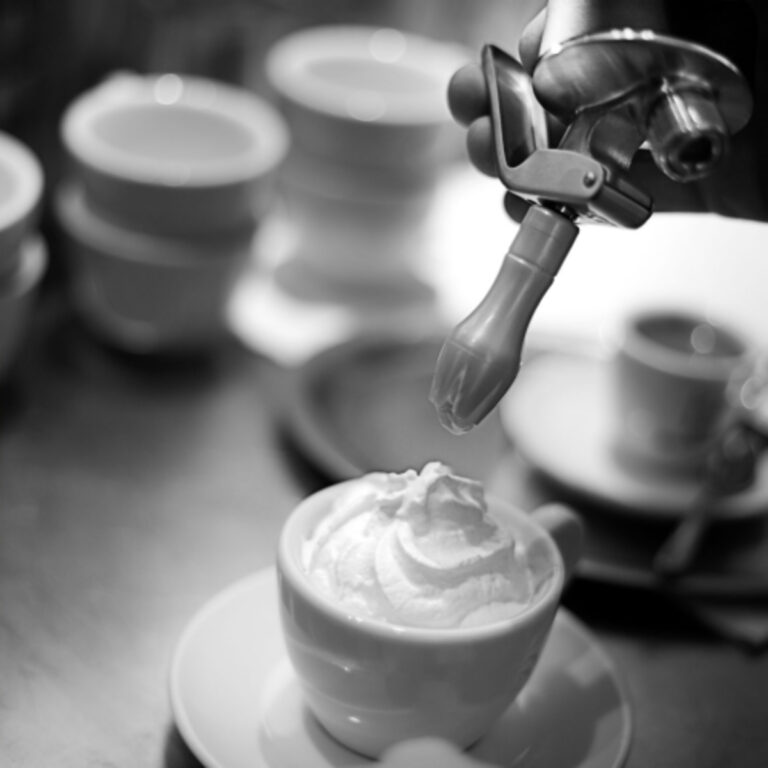 iSi Cream Profi Whip Professional Cream Whipper Chenab Gourmet