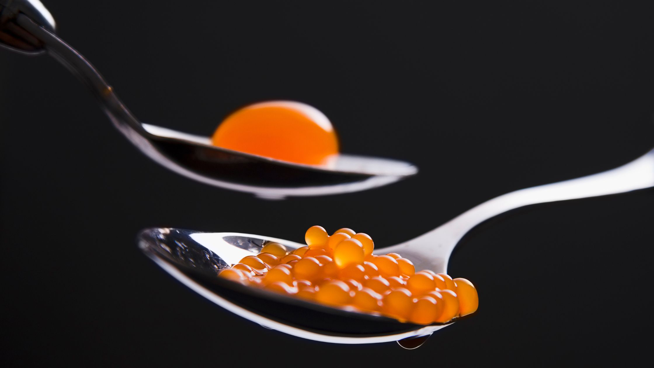 molecular-gastronomy-recipes-for-beginners-bryont-blog
