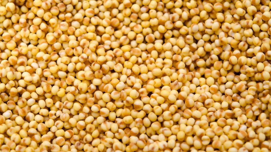 An Image of Foxtail millet porridge.