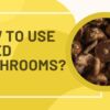 A graphic with a bright yellow background and white text that reads "HOW TO USE DRIED MUSHROOMS?". To the right, there is a circular inset image showing a close-up of a large pile of dried mushrooms.